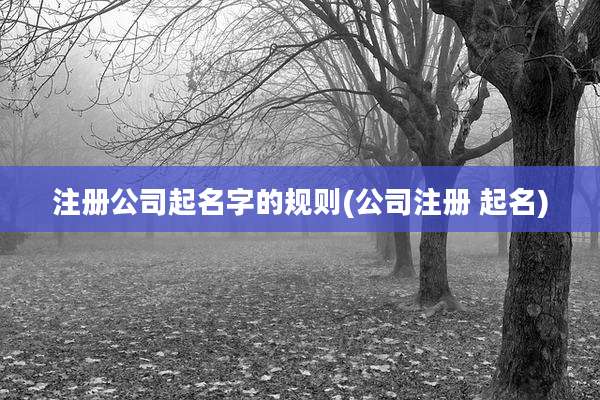 注册公司起名字的规则(公司注册 起名)