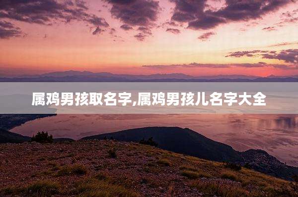 属鸡男孩取名字,属鸡男孩儿名字大全