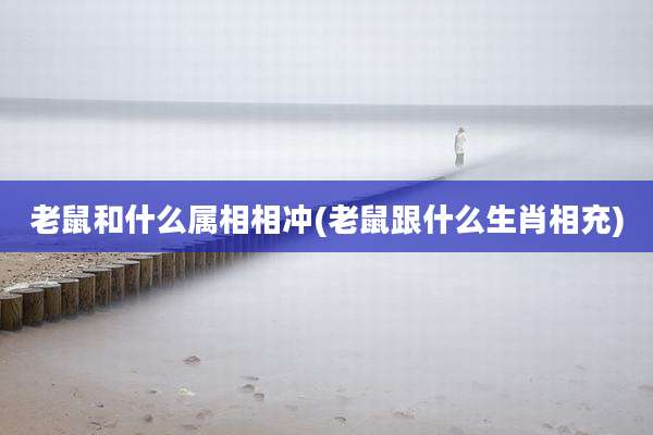 老鼠和什么属相相冲(老鼠跟什么生肖相充)