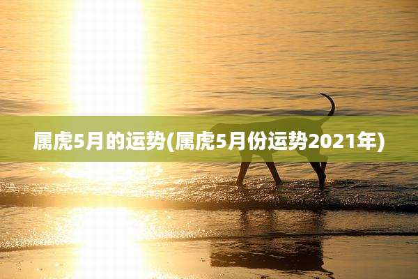 属虎5月的运势(属虎5月份运势2021年)