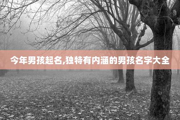 今年男孩起名,独特有内涵的男孩名字大全