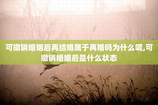 可撤销婚姻后再结婚属于再婚吗为什么呢,可撤销婚姻后是什么状态