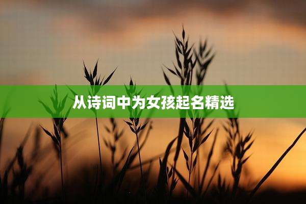 从诗词中为女孩起名精选