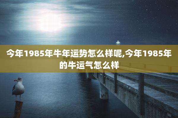 今年1985年牛年运势怎么样呢,今年1985年的牛运气怎么样