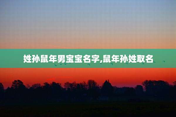 姓孙鼠年男宝宝名字,鼠年孙姓取名