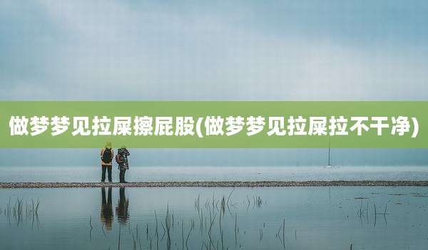 做梦梦见拉屎擦屁股(做梦梦见拉屎拉不干净)