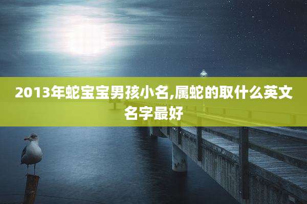 2013年蛇宝宝男孩小名,属蛇的取什么英文名字最好