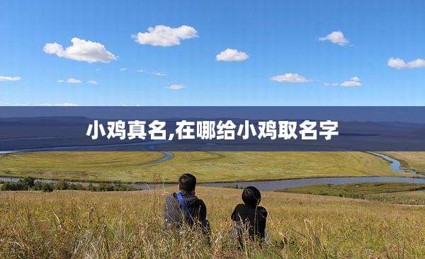 小鸡真名,在哪给小鸡取名字