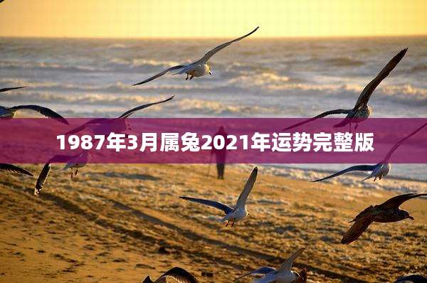 1987年3月属兔2021年运势完整版