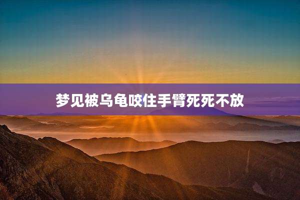 梦见被乌龟咬住手臂死死不放