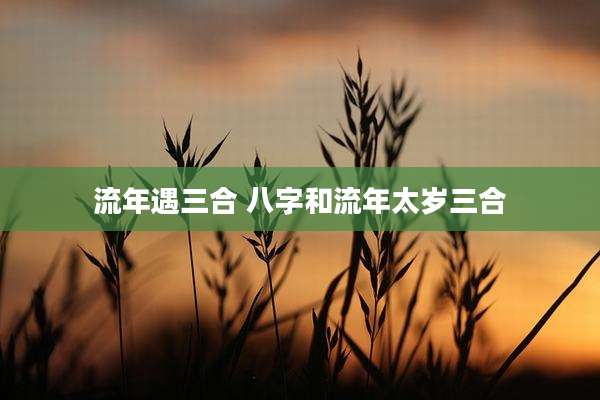 流年遇三合 八字和流年太岁三合