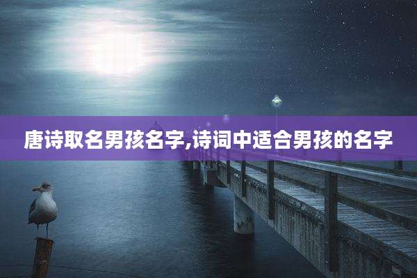 唐诗取名男孩名字,诗词中适合男孩的名字