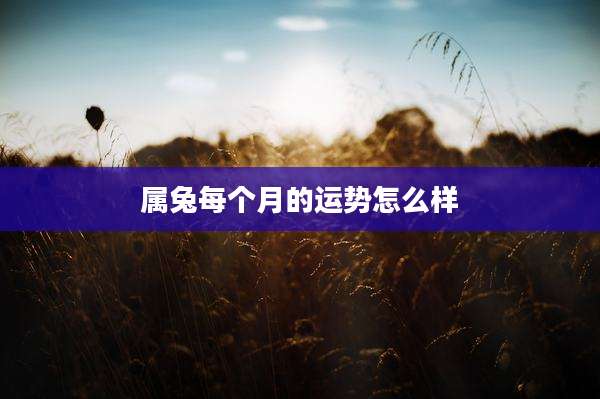 属兔每个月的运势怎么样