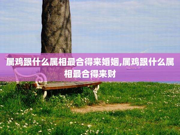 属鸡跟什么属相最合得来婚姻,属鸡跟什么属相最合得来财