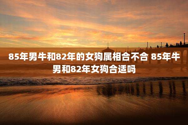85年男牛和82年的女狗属相合不合 85年牛男和82年女狗合适吗