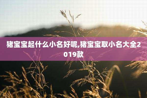 猪宝宝起什么小名好呢,猪宝宝取小名大全2019款