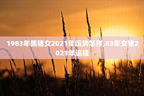 1983年属猪女2021年运势怎样,83年女猪2021年运程