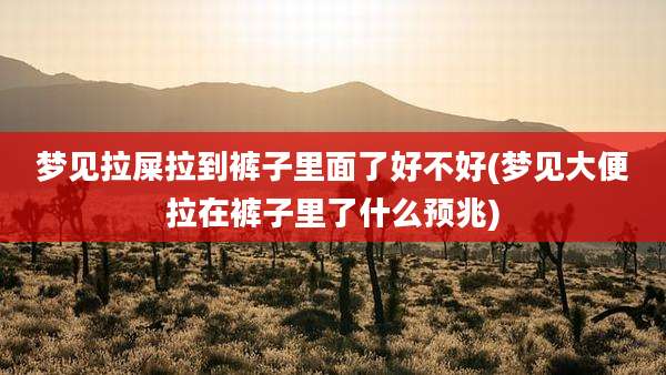 梦见拉屎拉到裤子里面了好不好(梦见大便拉在裤子里了什么预兆)