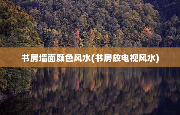 书房墙面颜色风水(书房放电视风水)