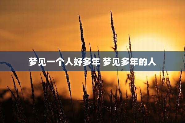 梦见一个人好多年 梦见多年的人