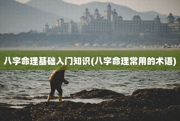 八字命理基础入门知识(八字命理常用的术语)