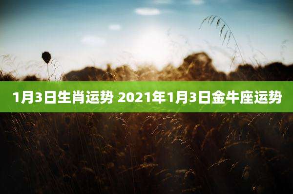 1月3日生肖运势 2021年1月3日金牛座运势