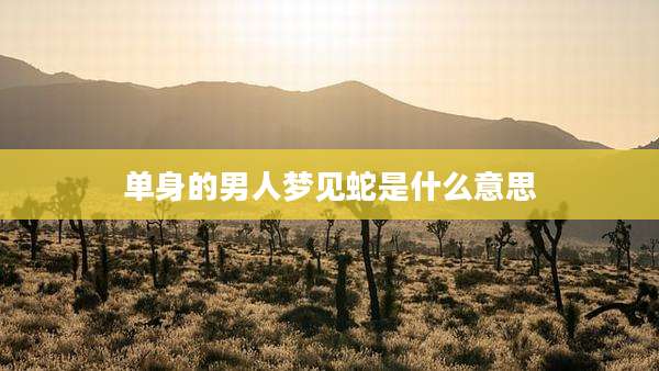 单身的男人梦见蛇是什么意思