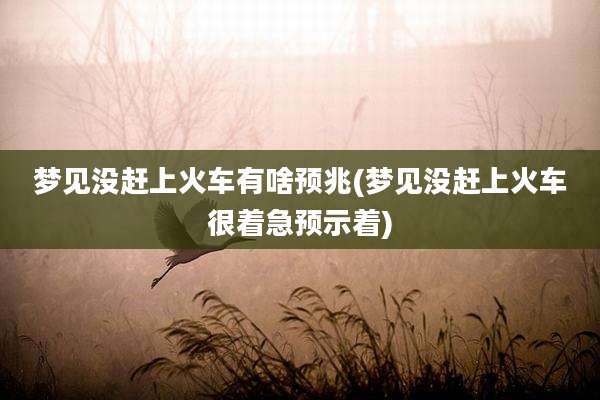 梦见没赶上火车有啥预兆(梦见没赶上火车很着急预示着)