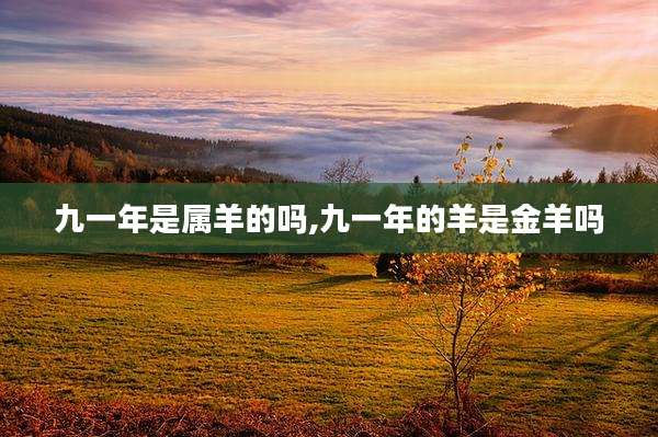 九一年是属羊的吗,九一年的羊是金羊吗