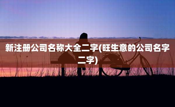 新注册公司名称大全二字(旺生意的公司名字二字)