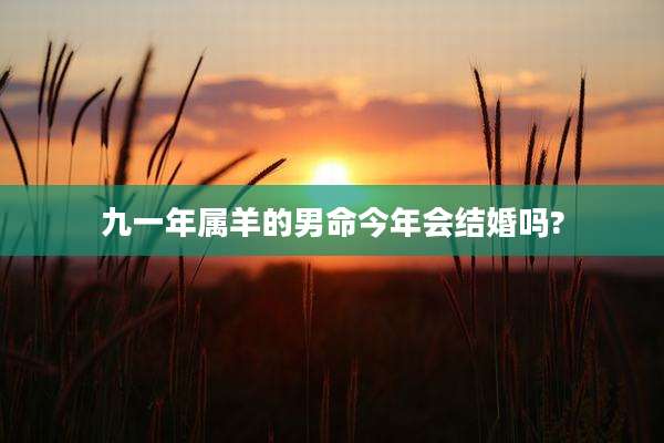 九一年属羊的男命今年会结婚吗?