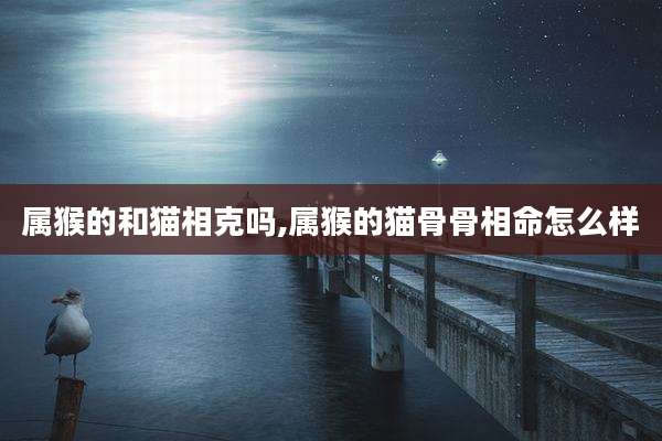 属猴的和猫相克吗,属猴的猫骨骨相命怎么样