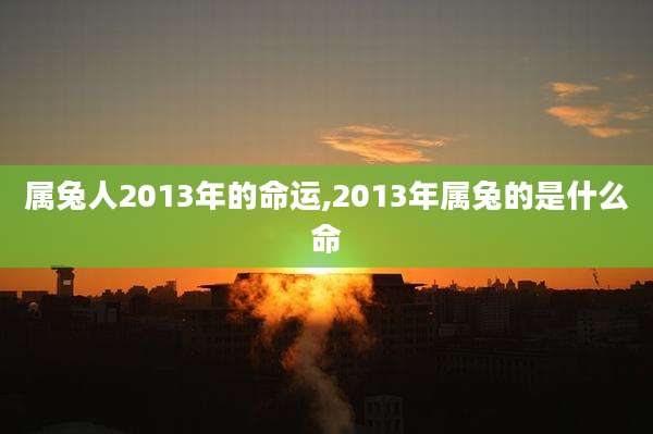 属兔人2013年的命运,2013年属兔的是什么命
