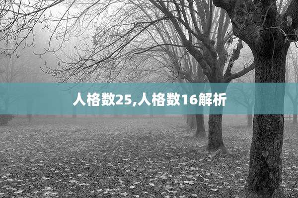 人格数25,人格数16解析