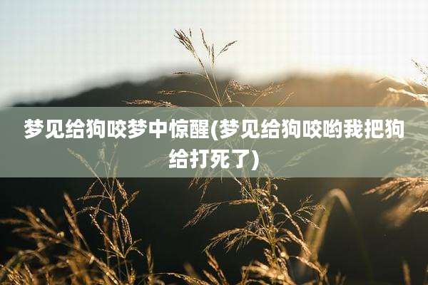 梦见给狗咬梦中惊醒(梦见给狗咬哟我把狗给打死了)