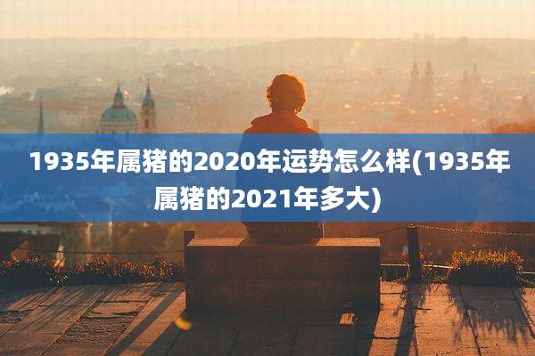 1935年属猪的2020年运势怎么样(1935年属猪的2021年多大)