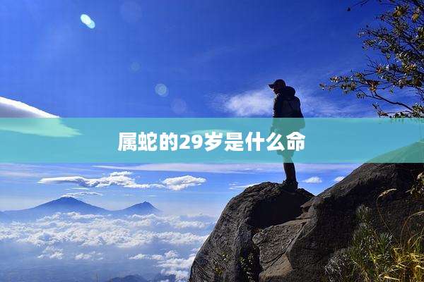 属蛇的29岁是什么命