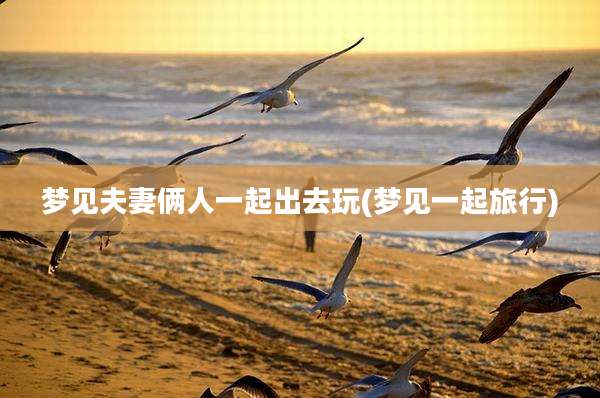 梦见夫妻俩人一起出去玩(梦见一起旅行)