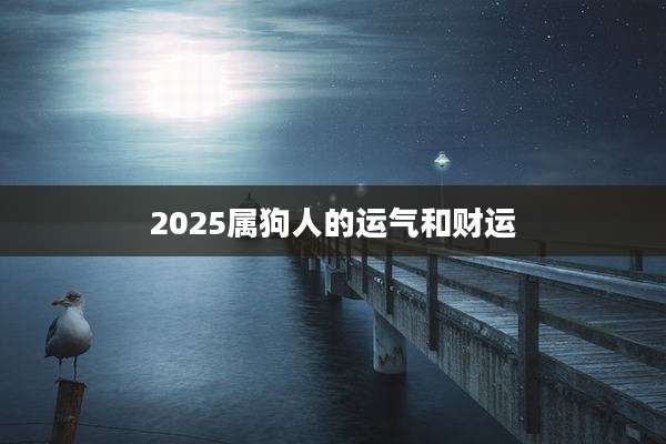 2025属狗人的运气和财运