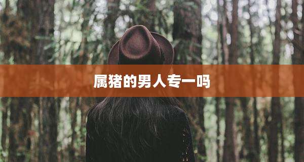 属猪的男人专一吗