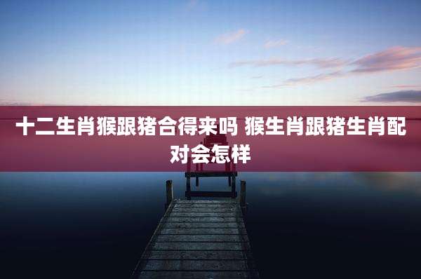 十二生肖猴跟猪合得来吗 猴生肖跟猪生肖配对会怎样