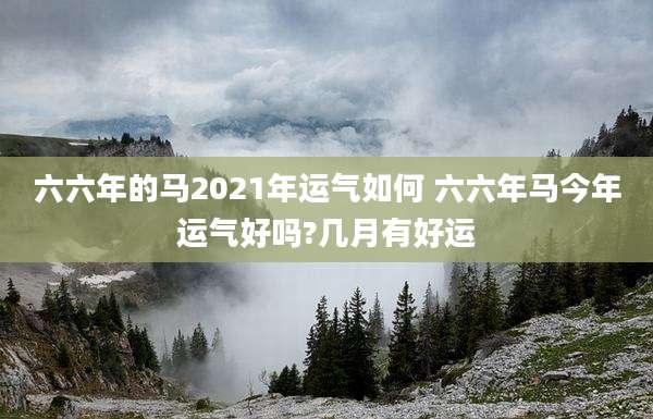 六六年的马2021年运气如何 六六年马今年运气好吗?几月有好运
