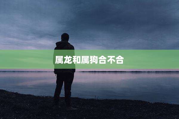 属龙和属狗合不合