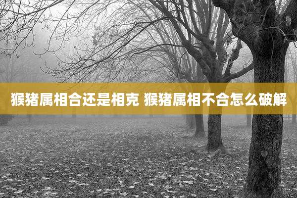 猴猪属相合还是相克 猴猪属相不合怎么破解