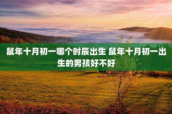 鼠年十月初一哪个时辰出生 鼠年十月初一出生的男孩好不好