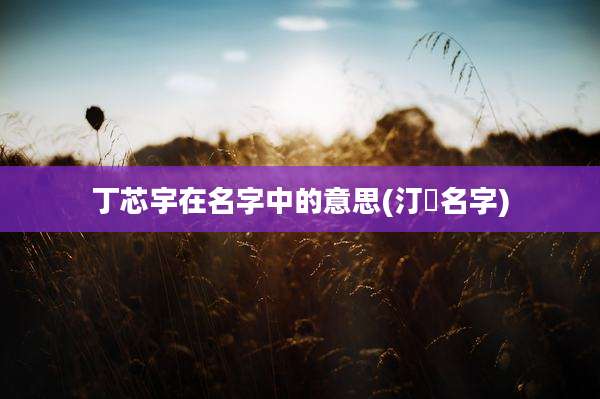 丁芯宇在名字中的意思(汀玥名字)