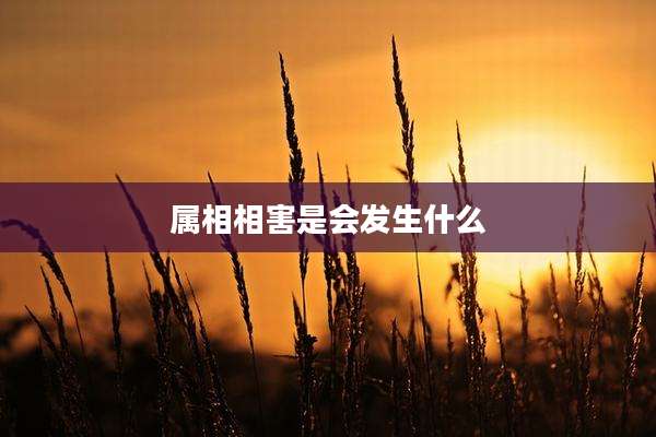 属相相害是会发生什么