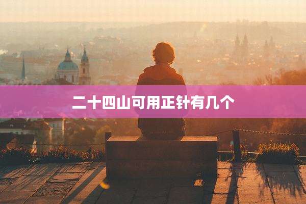 二十四山可用正针有几个
