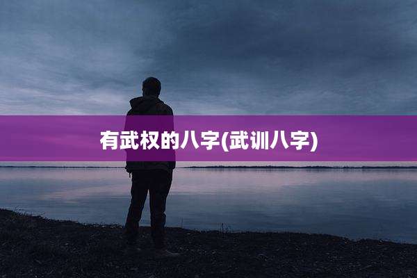 有武权的八字(武训八字)