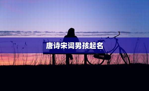 唐诗宋词男孩起名